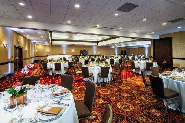 Wedding reception area