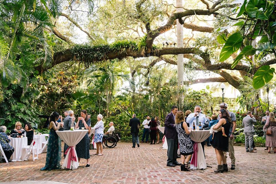 Sarasota  and Tampa Wedding Gallery