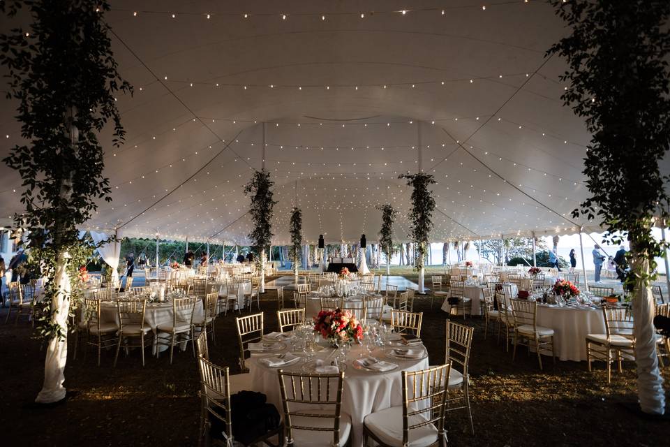 Tented Reception Design