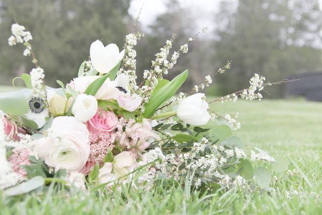 Sabrina Stone Photography