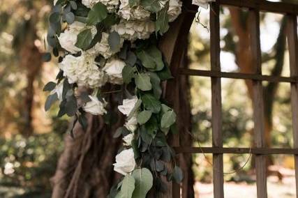 Hayal Flowers Design & Events