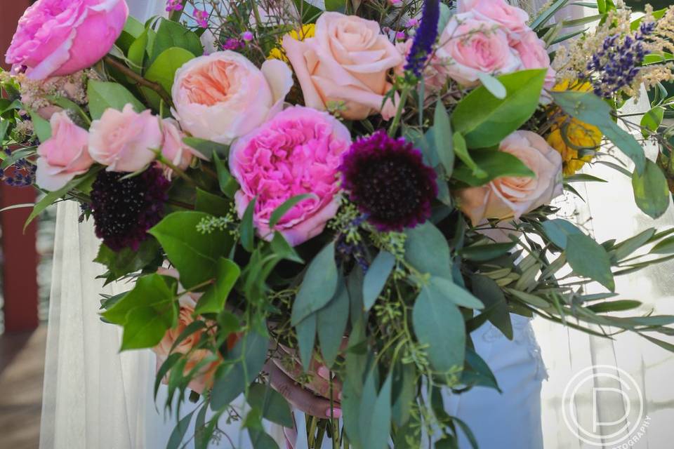 Hayal Flowers Design & Events