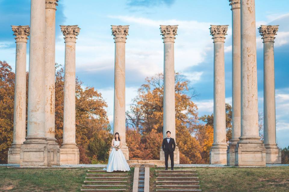 DC engagement