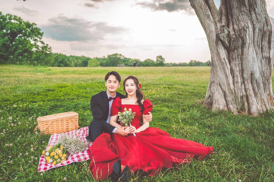 Picnic like engagement session
