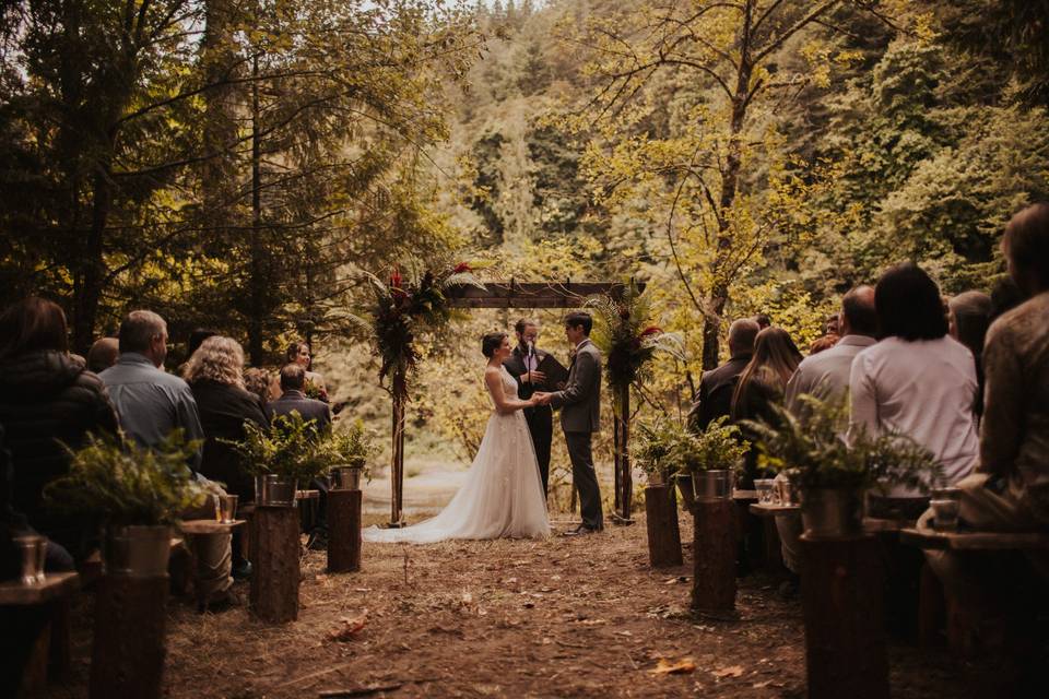 Forest Wedding By Black Swan