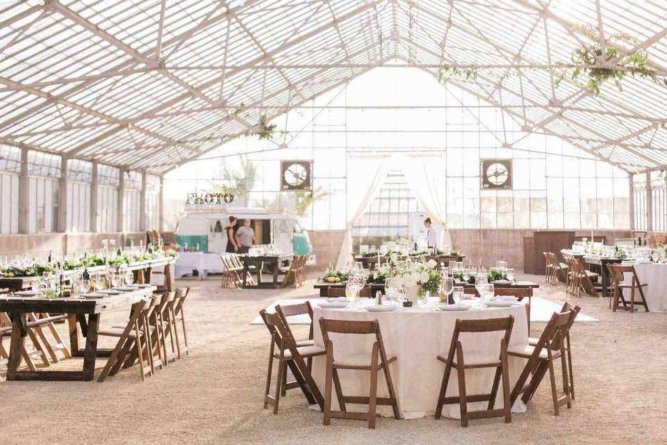 Orchid ranch, alissa noelle photography