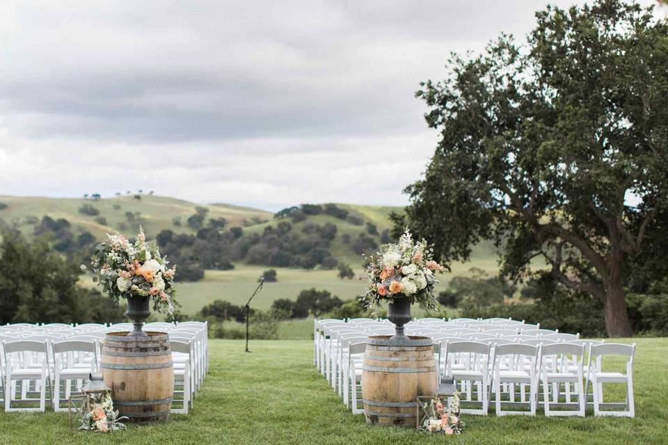 Orchid ranch, alissa noelle photography