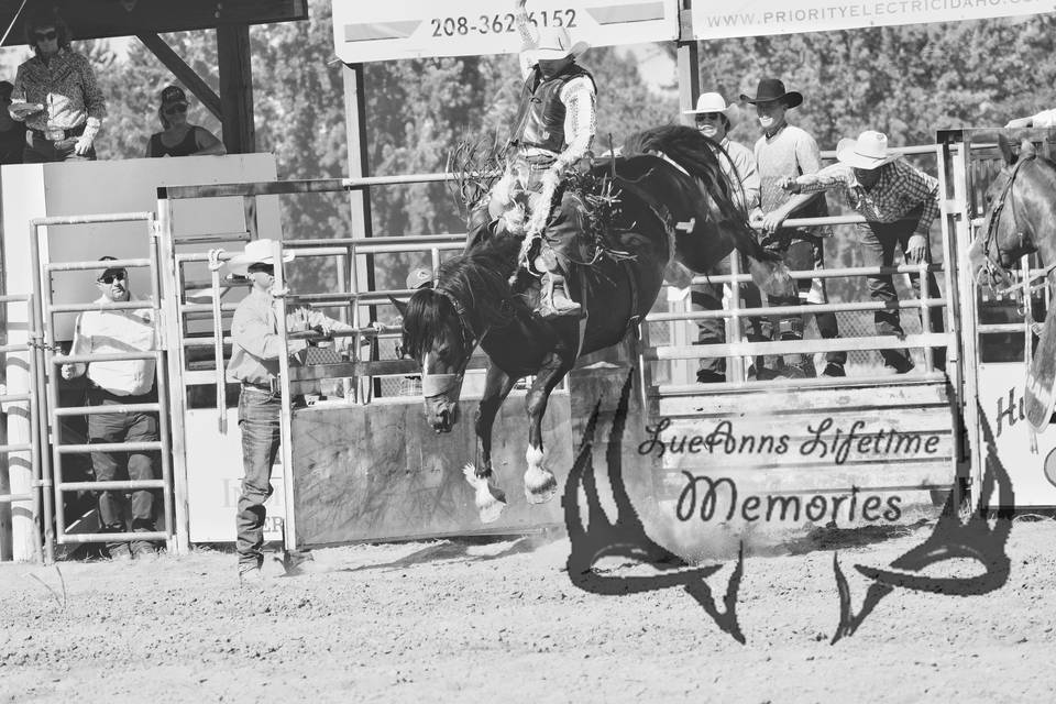 LueAnns Lifetime Memories