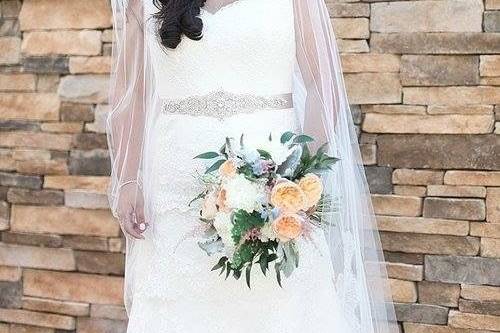 Monarch Beauty