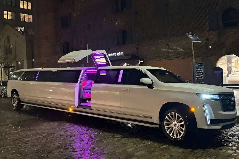 Dumbo_escalade_branded.jpg