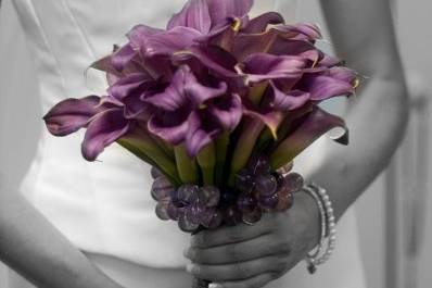 Photography by Mimi