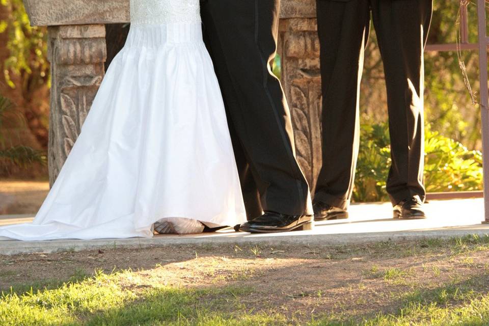 Wedding kiss