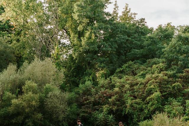 Enchanting outdoor shots