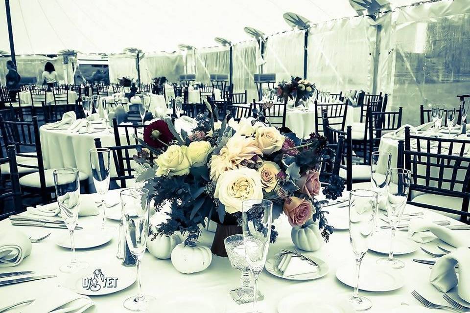 Table setup with centerpiece