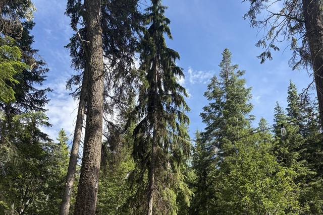Outdoor Ceremony, Lakeside MT