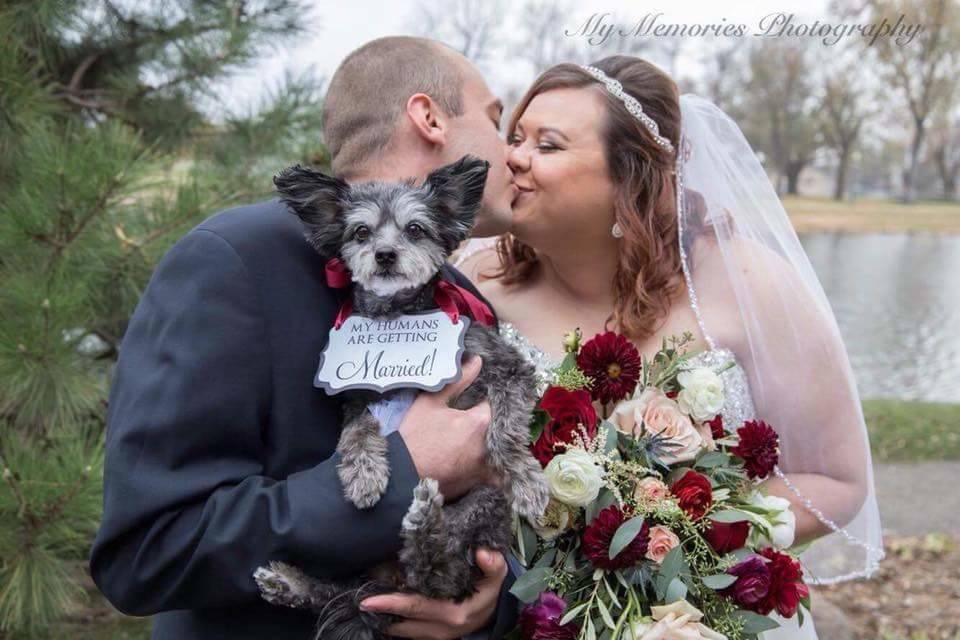 Wedding kiss