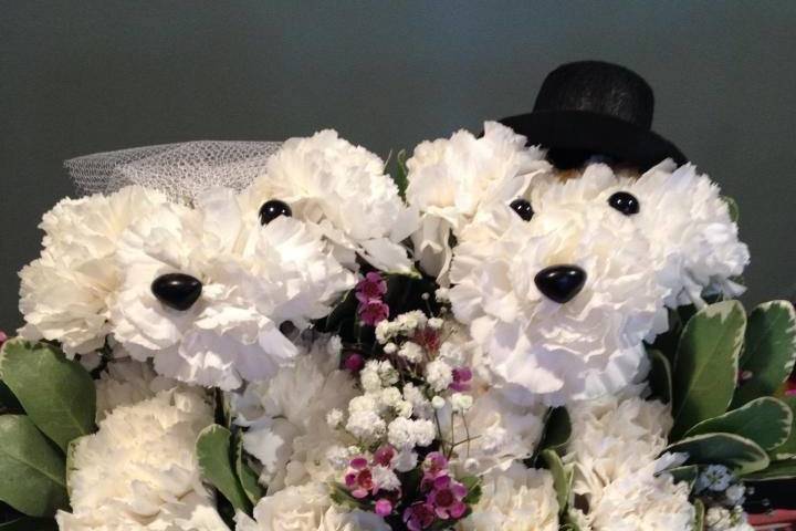 Let's Say I Do Wedding Ceremonies