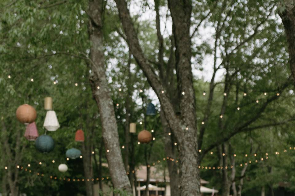 Fun Tropical Wedding