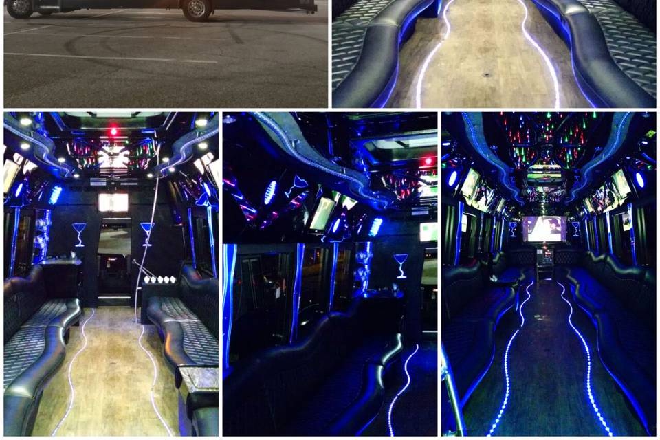 29 passenger Party Limo Bus #9