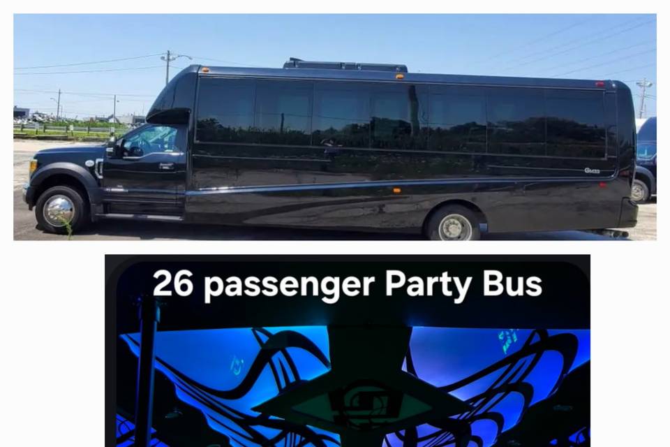 26 passenger Party Bus