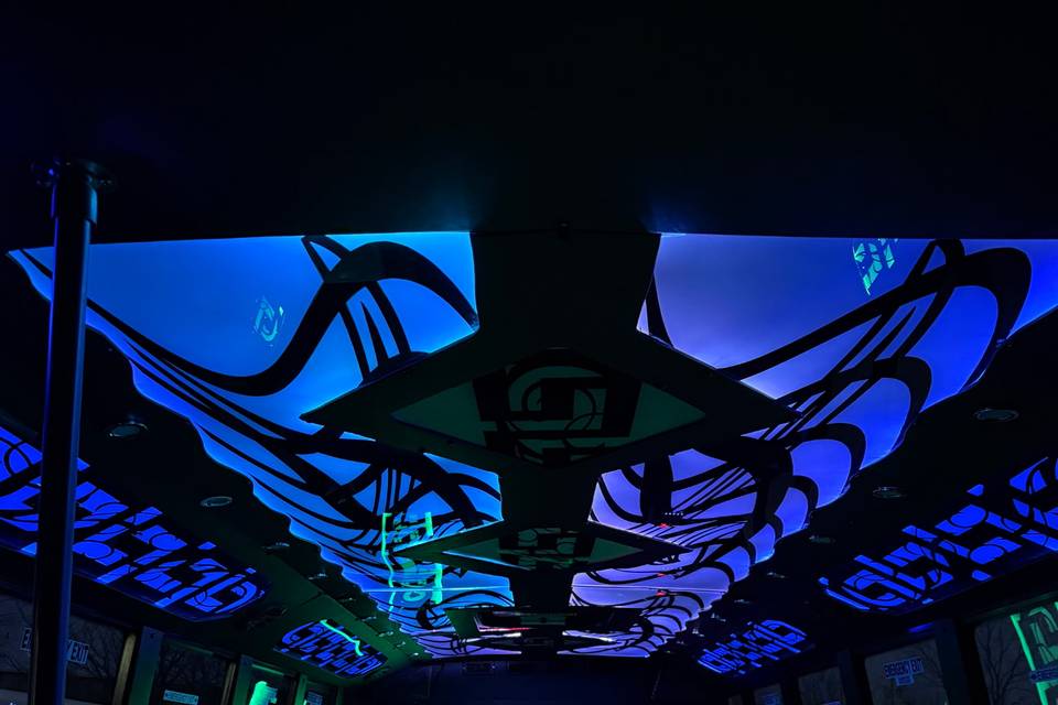 26 passenger Party bus