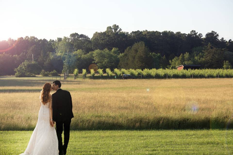 South Paddock Winery at Whitehall Farm