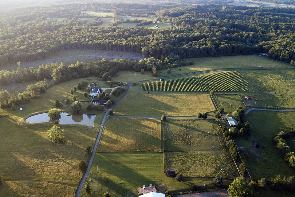 FARM FROM ABOVE