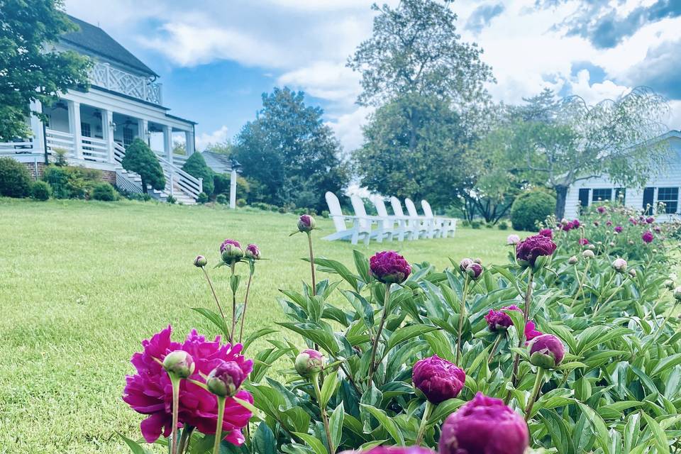 PEONY GARDEN