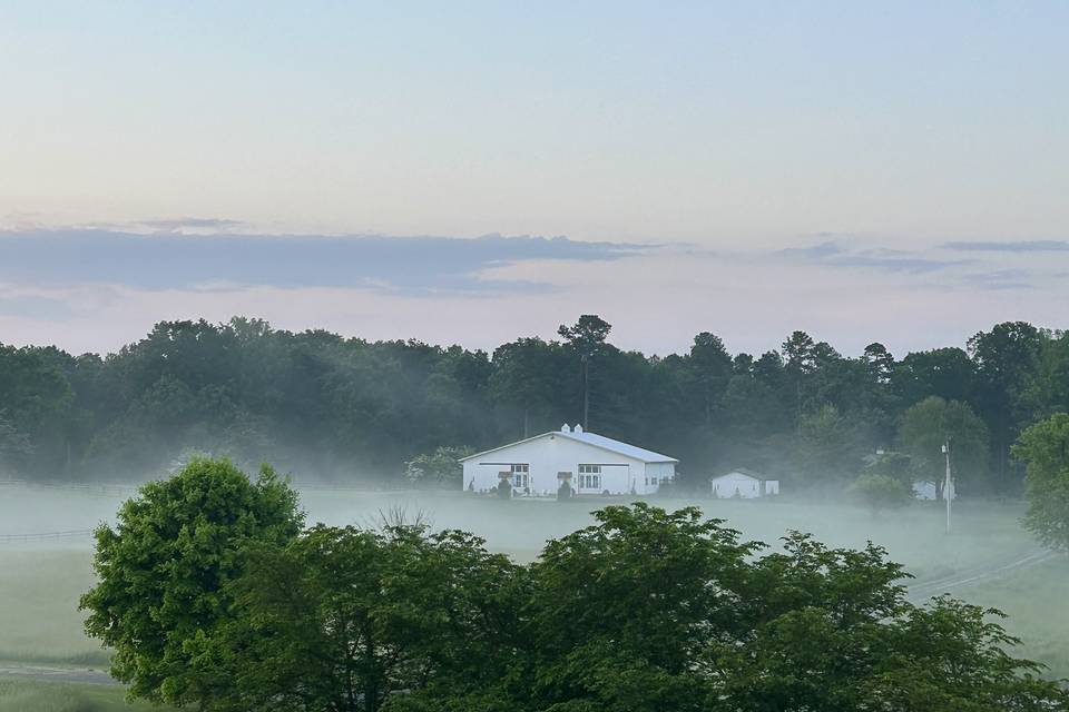 WINERY IN THE FOG