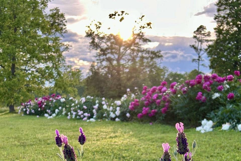 LAVENDER AND PEONIES