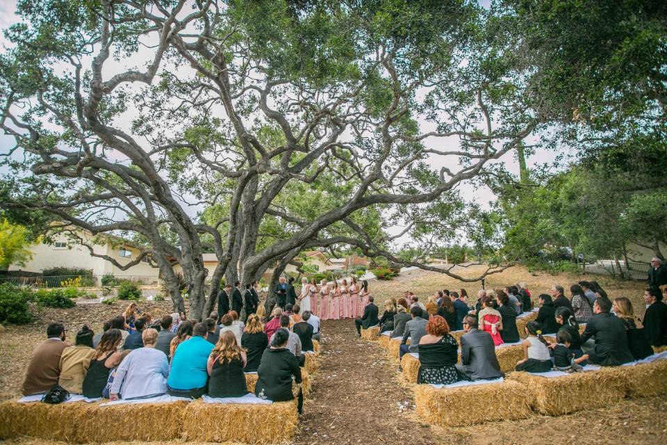 Outdoor wedding