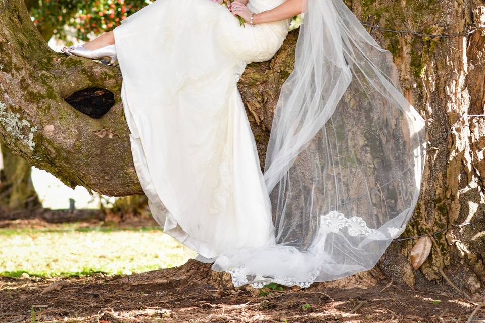 Bride in Tree