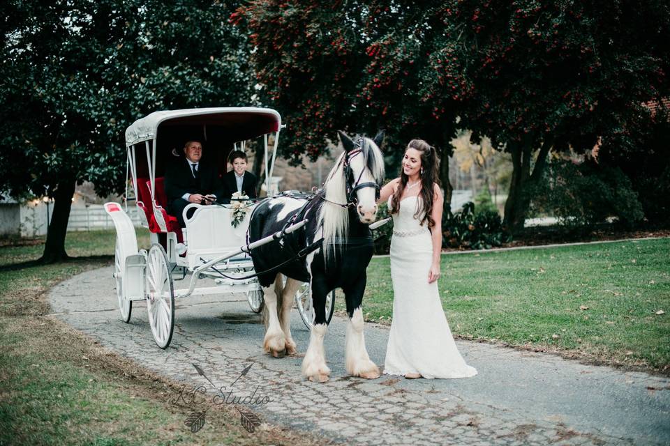 Horse with Bride