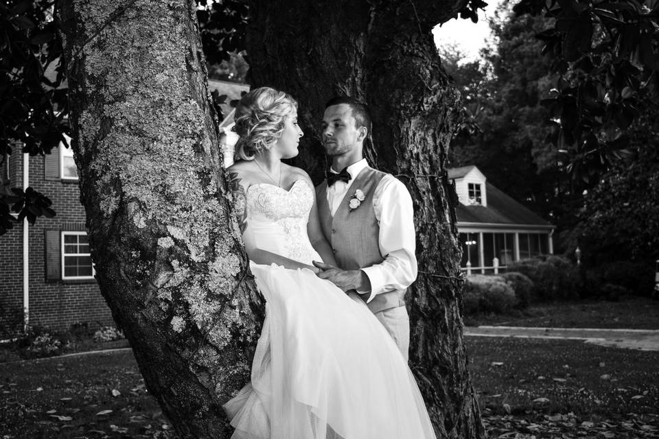 Bride / Groom in the TREE