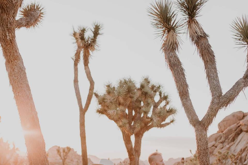 Elopement in Joshua Tree