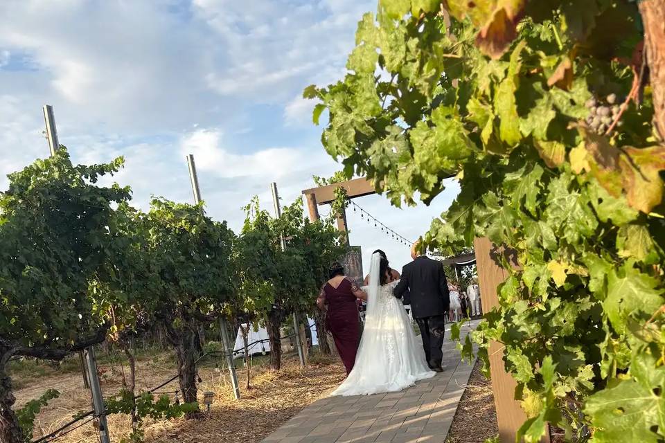 Bride