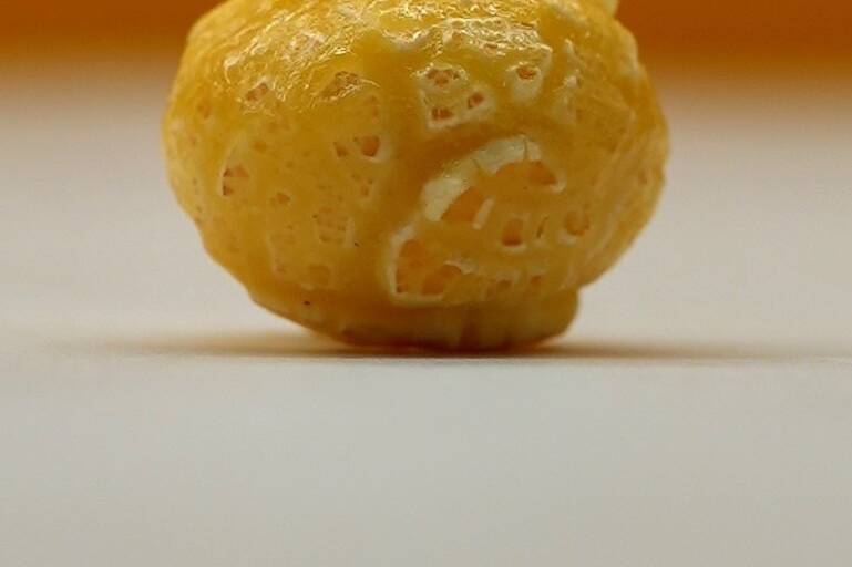 Dr. Auntie's Gourmet Popcorn