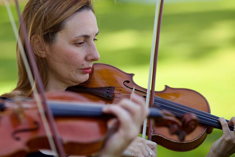 Violinist
