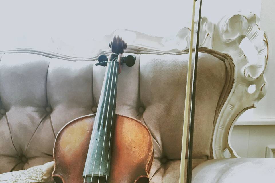 Violin