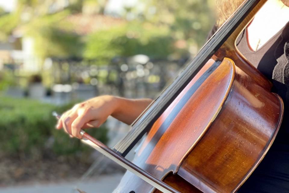 Cello