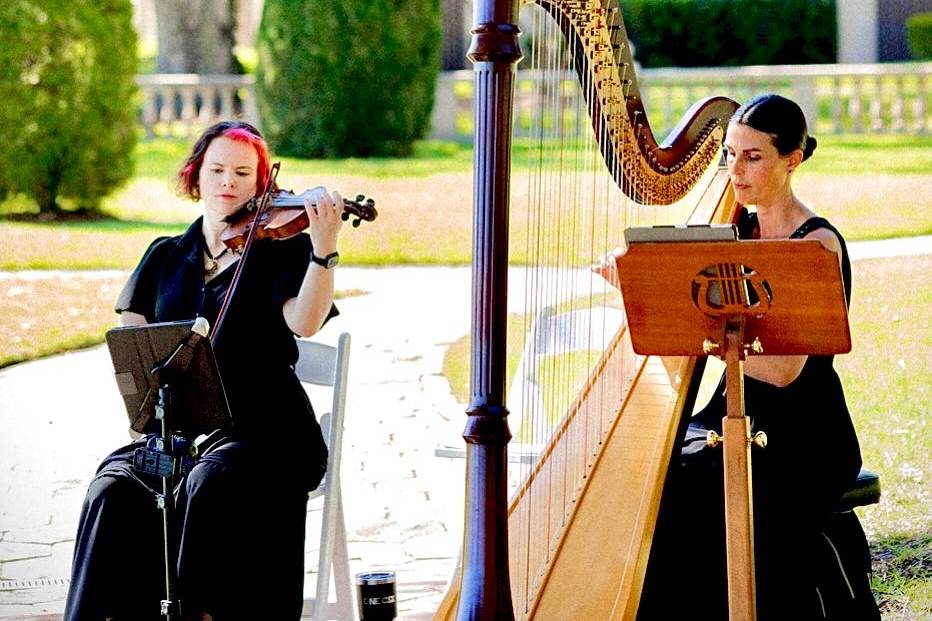 Violin & Harp