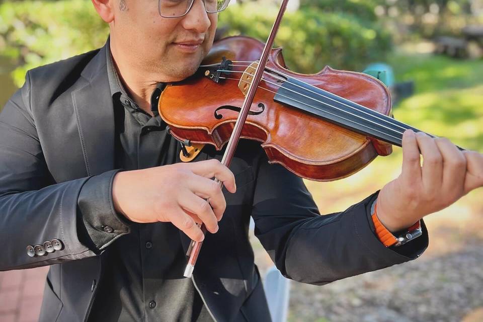 Violinist