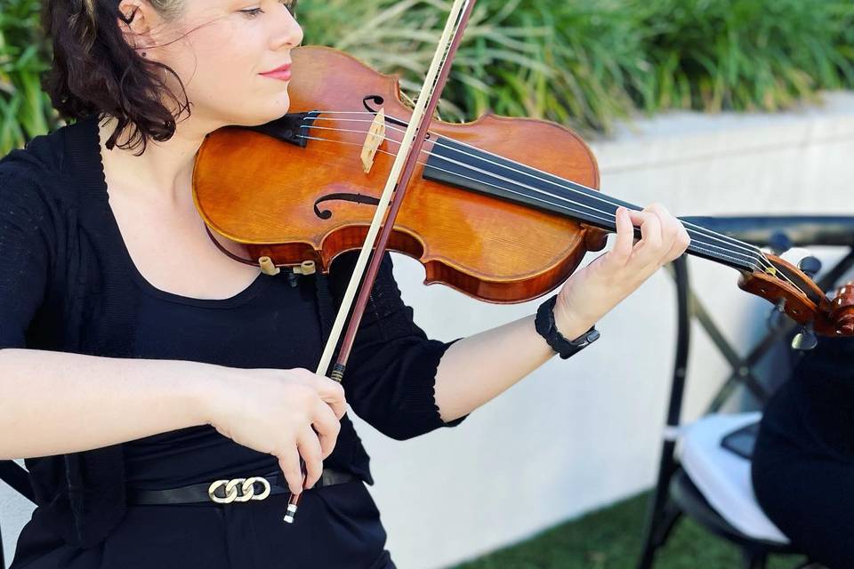 Violinist