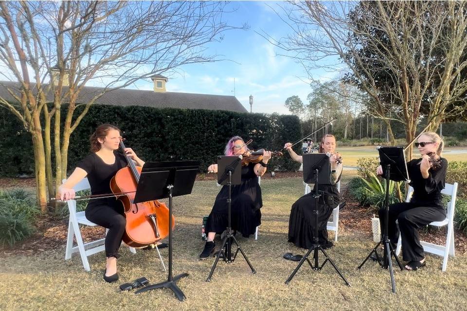 String Quartet St Johns, FL