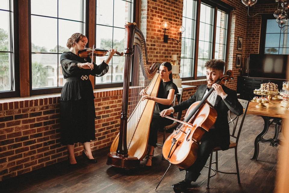Specialty Trio