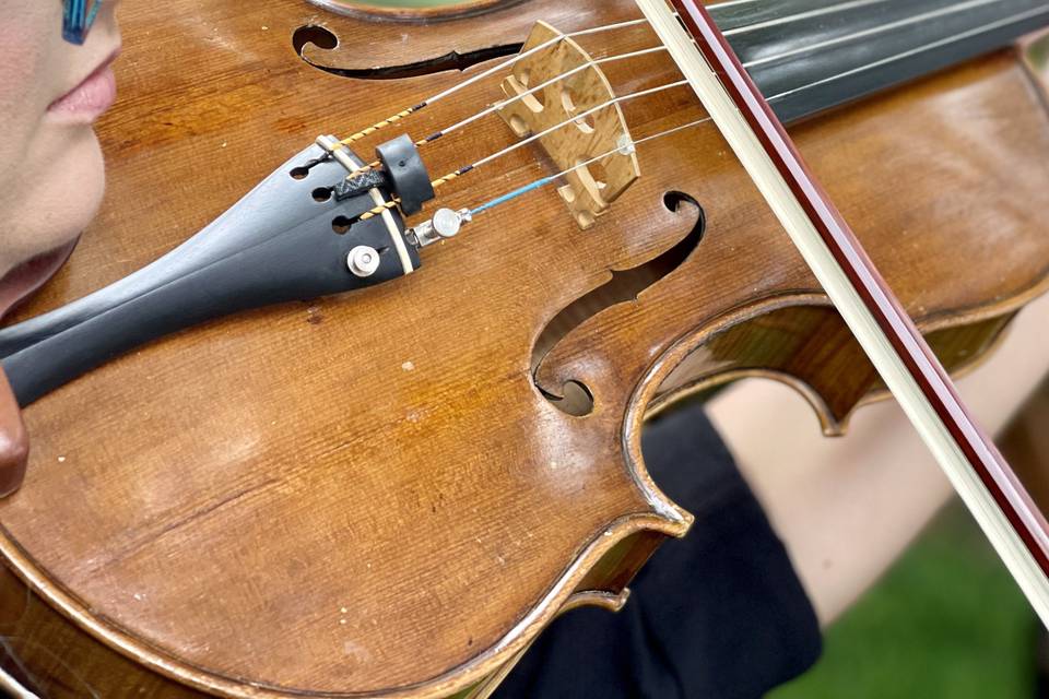 Violist