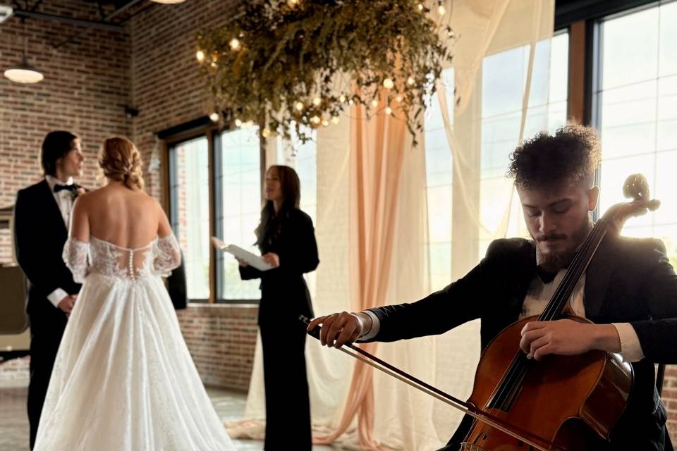Solo Cellist