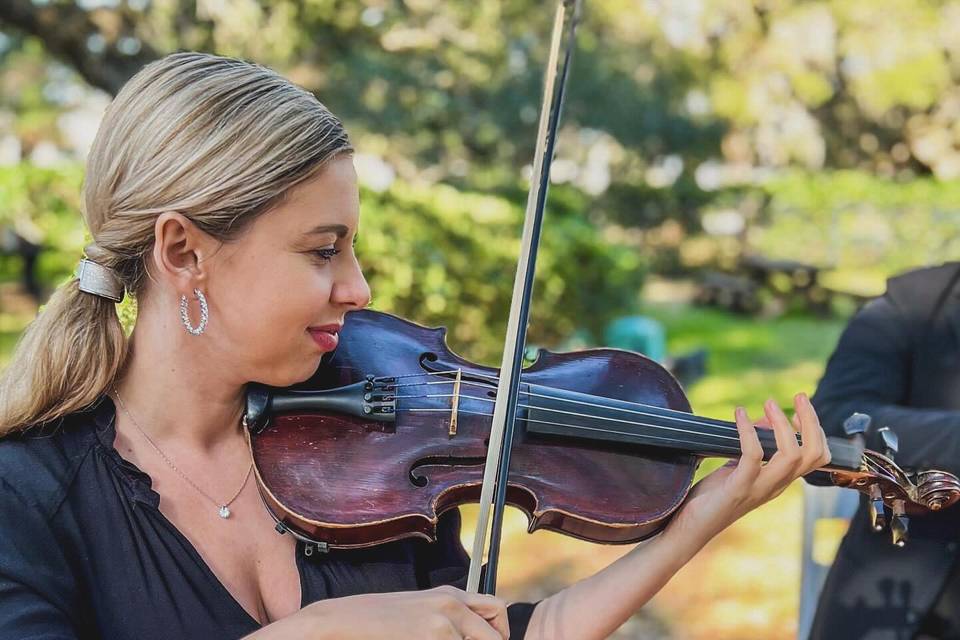 Violinist