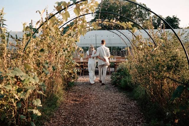Celeste Farms