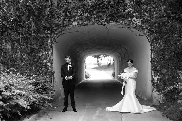 Ivy Tunnel